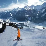 In Hollersbach Near Lift Hollersbach im Pinzgau