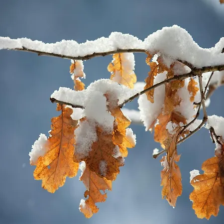 In Hollersbach Near Lift Apartman